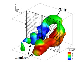 Vue détaillée obtenue par vélocimétrie volumique instantanée